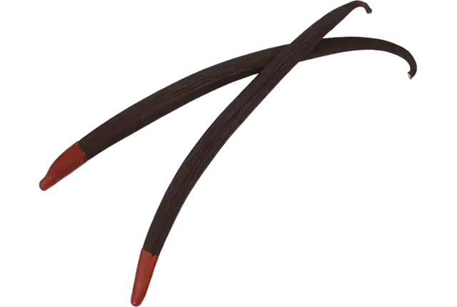 Vanillepeulen planifolia rood blik 6st